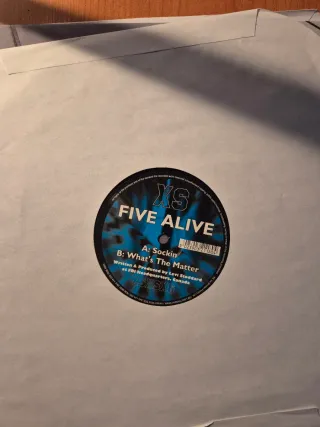 12 discos de vinilos de música electrónica