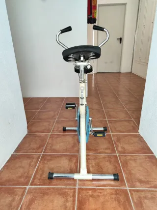 Bicicleta Estática BH Vintage