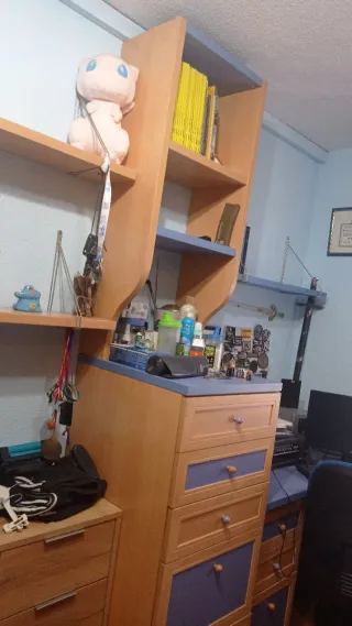 Dormitorio juvenil completo no incluye canapé