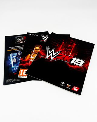 WWE 2K19 PS4 (PlayStation 4)