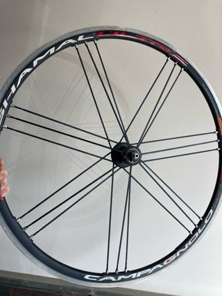 Ruedas Campagnolo Shamal Ultra