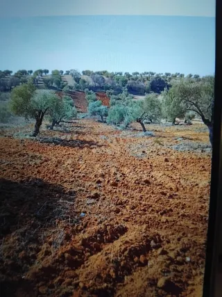 Terreno en Bargas (Toledo)