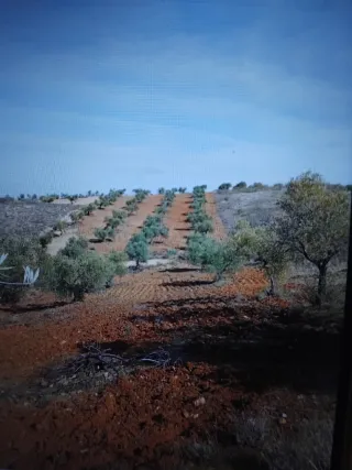 Terreno en Bargas (Toledo)