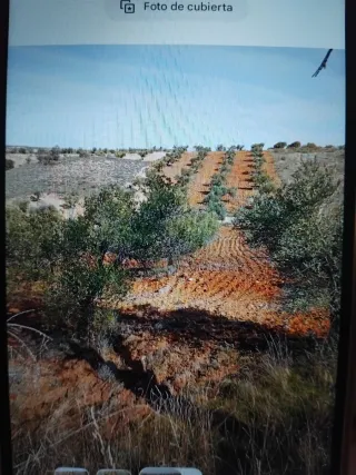 Terreno en Bargas (Toledo)