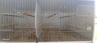 Jaula Crianza Pájaros 110cm