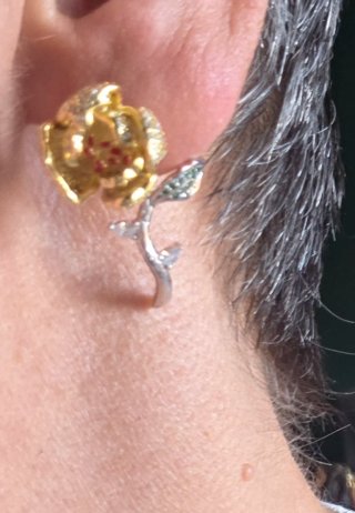 Maravillosos pendientes joya de autor
