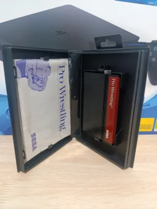 Pro Wrestling Master System