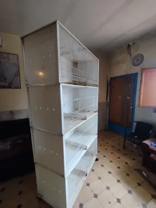Jaula de cría modulo