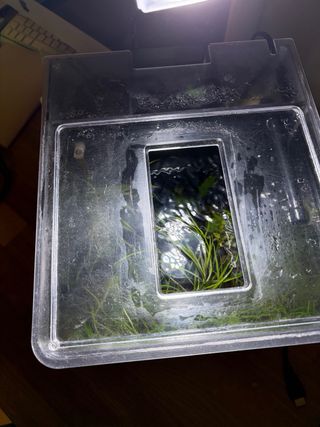 Acuario SERA Nano Cube LED Biotop 16L Pecera