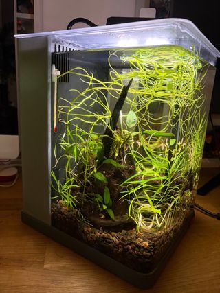 Acuario SERA Nano Cube LED Biotop 16L Pecera