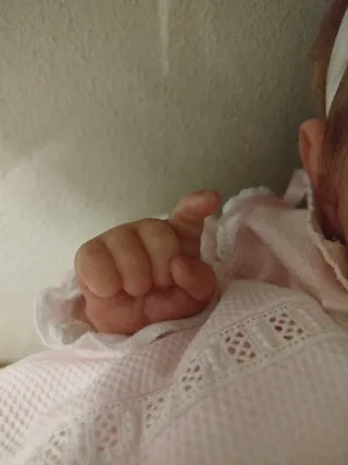 Bebé Reborn realista