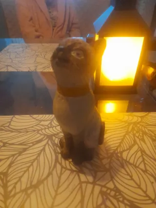 Figura gato realista pintada a mano gata balines