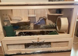 Jaula grande madera transparente hámster sirio