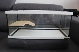 Terrario o tortuguera con rampa