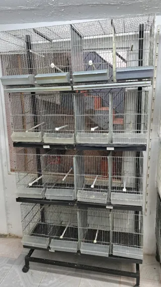 4 Jaulas Metros Galvanizadas