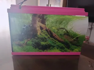 Acuario 16L en buen estado