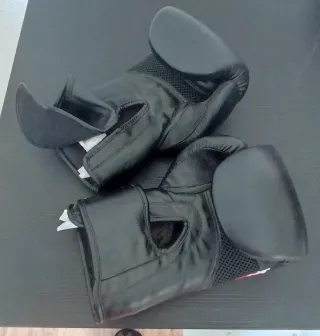 Saco Boxeo Arena 40kg + Guantes Talla L