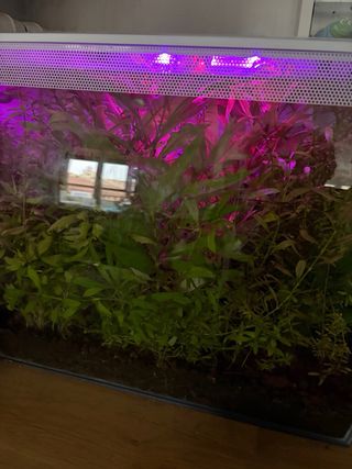 Acuario Curvo Fluval Flex 34L Blanco Pecera