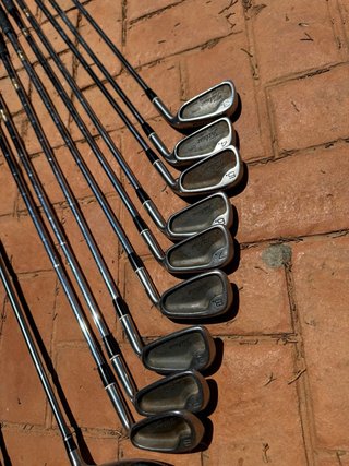 Juego de Palos de Golf Titleist y Hippo