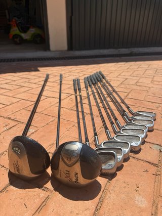 Juego de Palos de Golf Titleist y Hippo