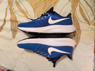 Nike Pegasus 39 Talla 42.5
