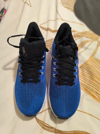 Nike Pegasus 39 Talla 42.5