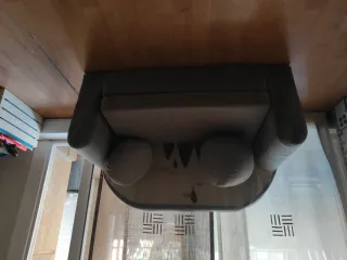 Sofá Cama Niños/Mascotas Gris