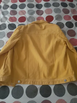 Cazadora Springfield Amarilla