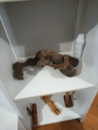 Máscaras de madera decorativas