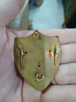 Chapa esmaltada SEU Falange