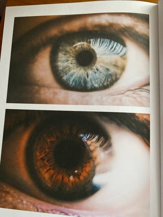 Libro: La luz que siempre te di. David Olivas.