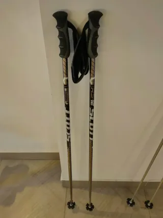Esquís Fischer Worldcup RC con bolsa