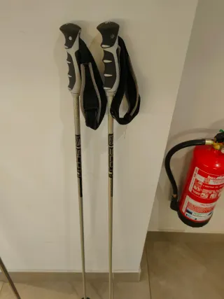Esquís Fischer Worldcup RC con bolsa