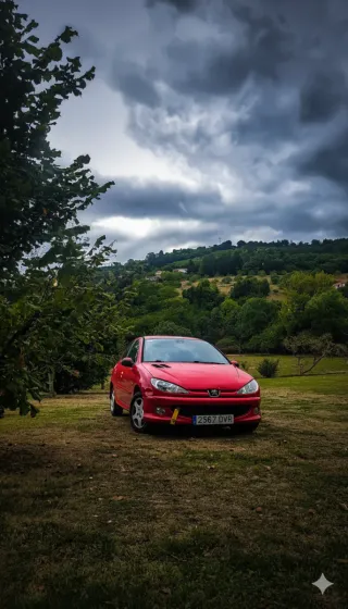 Peugeot 206 2008