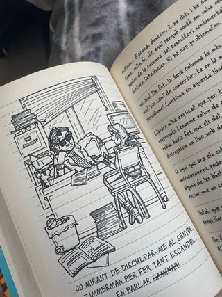 Diari d'una Penjada 9 (Catalán)