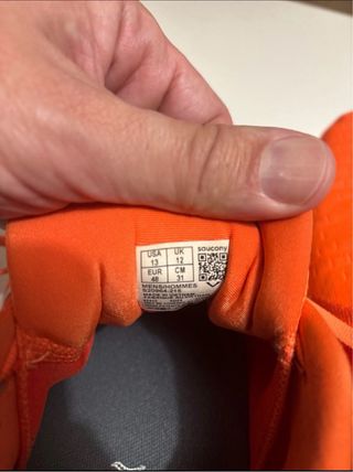 Zapatillas running Saucony Triumph 22