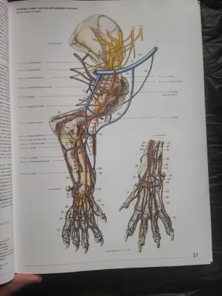 Atlas de anatomía del perro texto ilustrado
