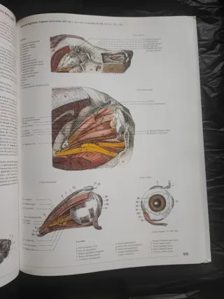Atlas de anatomía del perro texto ilustrado