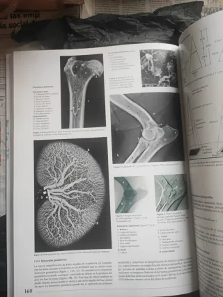 Atlas de anatomía del perro texto ilustrado