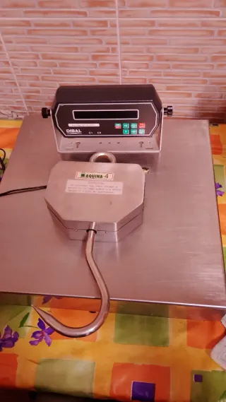 Báscula acero 150kg con gancho