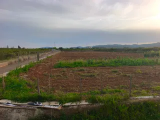 Finca rústica en venta