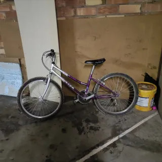 Bicicleta de montaña morada y plateada