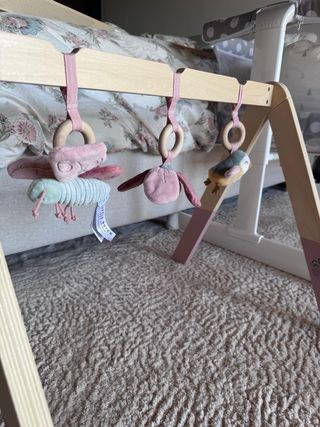 Gimnasio bebé Little Dutch Flores y Mariposas