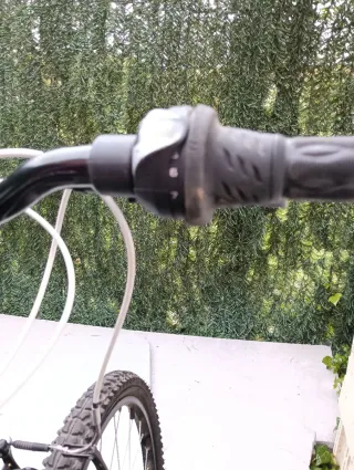 Bicicleta de adulto negra