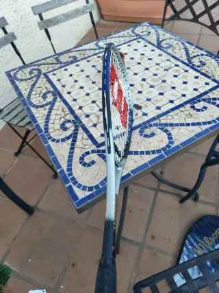 Raqueta Wilson Cobra y funda