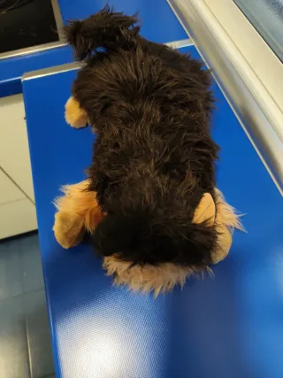 Peluche Yorkshire a pilas