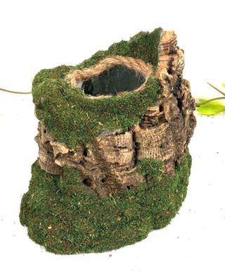 Soporte planta terrario reptiles