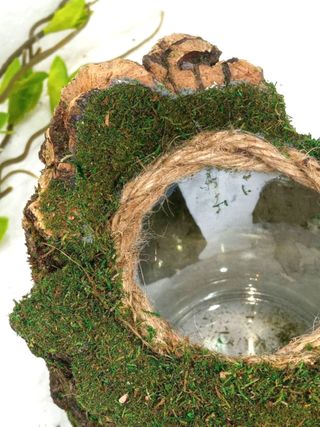 Soporte planta terrario reptiles