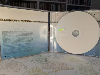 Starsailor Silence Is Easy CD Indie