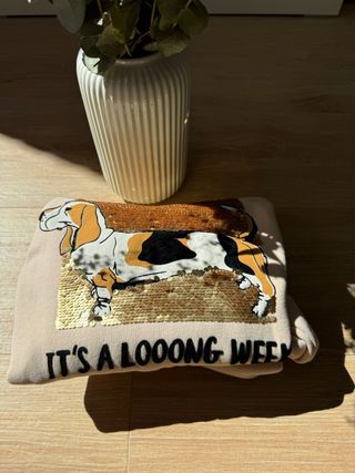 Sudadera Zara niña perro lentejuelas 11-12 años